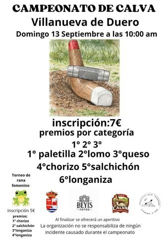 Ver cartel del Campeonato de Calva de Villanueva de Duero