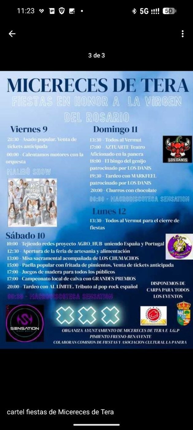 Cartel de Campeonato local de calva con grandes premios